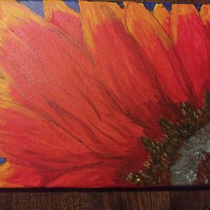 Meet your Posher, Pam